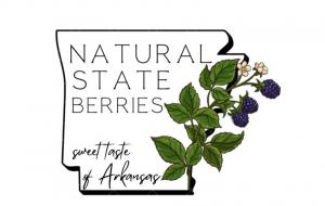 Natural State Berries